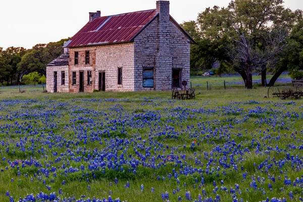 Abandonded gamla hus i Texas vildblommor. — Stockfoto