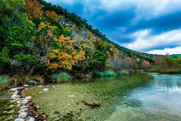 Na podzim listy ztracené javory stát Park v Texasu. — Stock fotografie