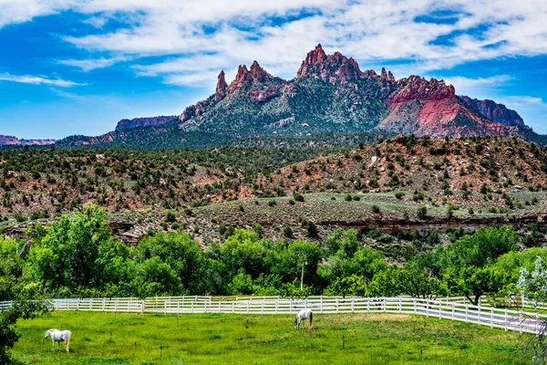 Nära Zion National Park, Utah. — Stockfoto