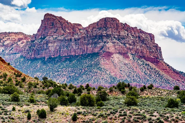 Parco nazionale di Zion, Utah. — Foto Stock