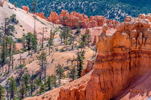 Coloridas formaciones de rocas Hoodoo en el Parque Nacional Bryce Canyon, U —  Fotos de Stock
