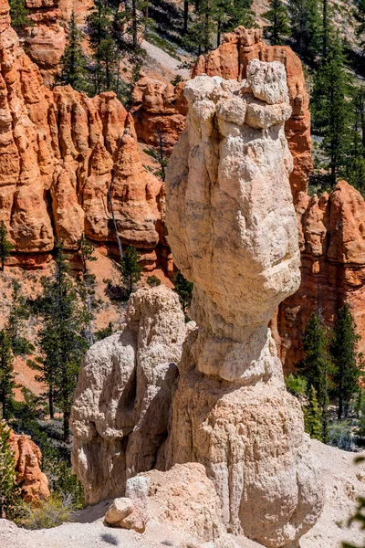 Colorate formazioni rocciose di Hoodoo nel Parco Nazionale del Bryce Canyon, U — Foto Stock
