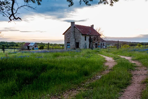 Abandonded gamla hus i Texas vildblommor. Royaltyfria Stockfoton