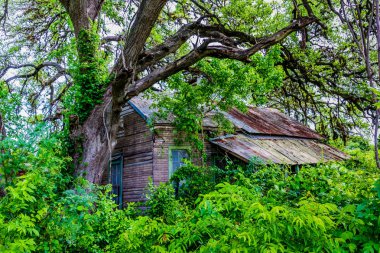 Gizli Texas kulübede terk edilmiş