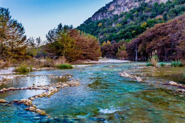 Sonbaharda yapraklar Texas kristal berraklığında Frio Nehri üzerinde.
