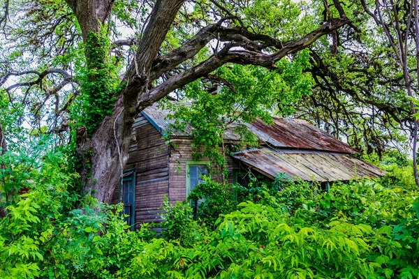Velha barraca abandonada escondida no Texas — Fotografia de Stock