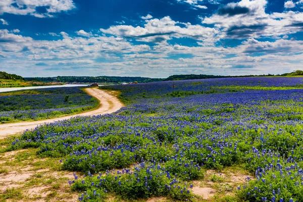 텍사스 Bluebonnet 야생화의 분야에서 오래 된 텍사스 비포장도로 — 스톡 사진