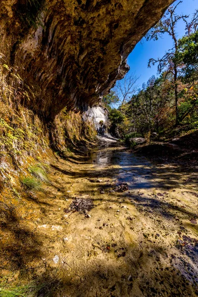 Follaje de otoño en el Parque Estatal Lost Maples en Texas . — Foto de Stock