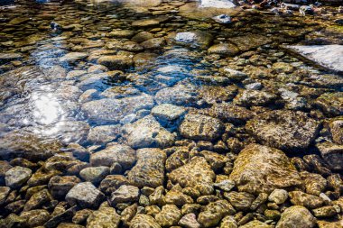 Sonbaharda yapraklar, kayıp Maples State Park Texas.