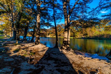 Sonbaharda yapraklar Texas kristal berraklığında Frio Nehri üzerinde.