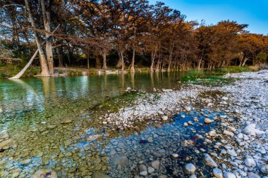 Sonbaharda yapraklar Texas kristal berraklığında Frio Nehri üzerinde.