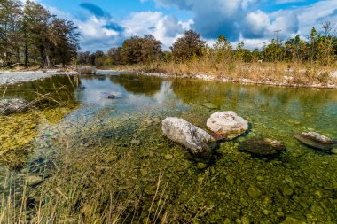 Sonbaharda yapraklar Texas kristal berraklığında Frio Nehri üzerinde.