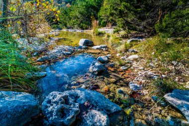 Sonbaharda yapraklar, kayıp Maples State Park Texas.