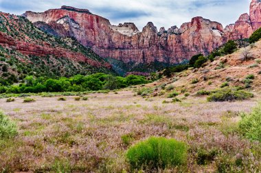 Zion Ulusal Parkı, Utah.