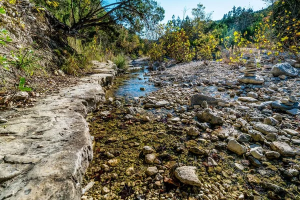 Восени листя на втрачені Клени State Park в Техасі. — стокове фото