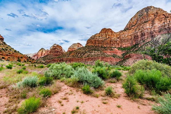 Parco nazionale di Zion, Utah. — Foto Stock