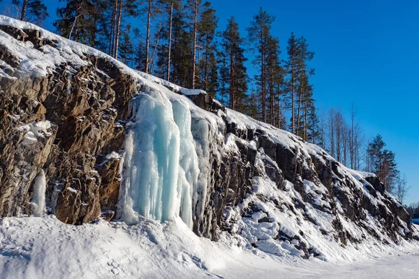 Karelia. Russia. Nature of Karelia in the winter. Coniferous forest. Taiga in Karelia. Panorama of Russian nature. Winter taiga. Coniferous trees in the Russian forest. Travels in Northern Russia — Stock Image Karelia. Russia. Nature of Karelia in the winter. Coniferous forest. Taiga in Karelia. Panorama of Russian nature. Winter taiga. Coniferous trees in the Russian forest. Travels in Northern Russia Stock Photo