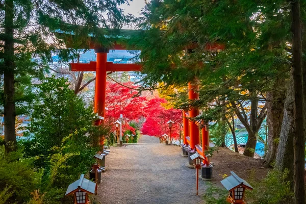 Japan. Red japanese gate in Fujiyoshida. Steps at Arakurayama Sengen Park. Red maple in japan. Steps lead down. Japanese maple tree next to the steps. Japanese-style gate at the exit of the park.