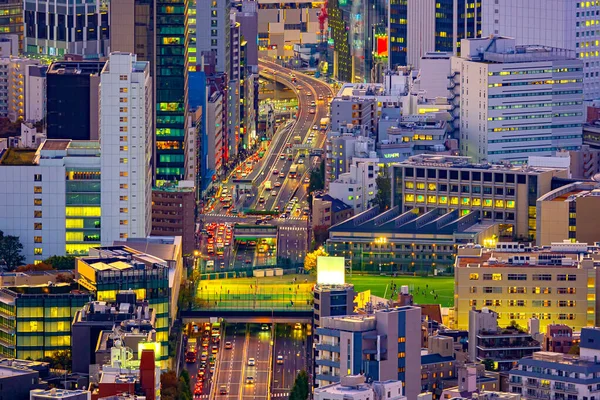Japan. Tokyo. Soccer field over the highway. Tokyo night panorama view from above. Highways of Japan. Japanese architecture. Playground in the city center. Holidays in Tokyo. Buildings in Japan.