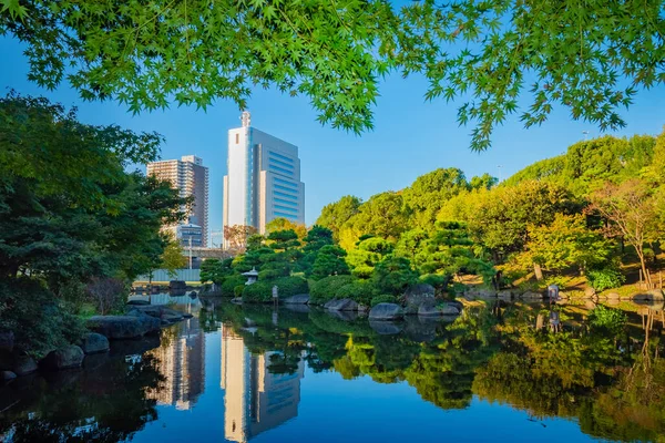 Japan. Tokyo on a Sunny day. Tall buildings on the background of the Park. Urban landscape framed by green leaves. Japanese maple leaves on the background of Tokyo. Natural corners of Tokyo.