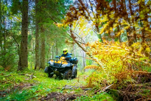 Quad bike rides through the woods. Concept - man travels on a quad bike. Concept - ATV racing. A man rides through the woods. The concept is a modern staircase. ATV driver leaves the forest