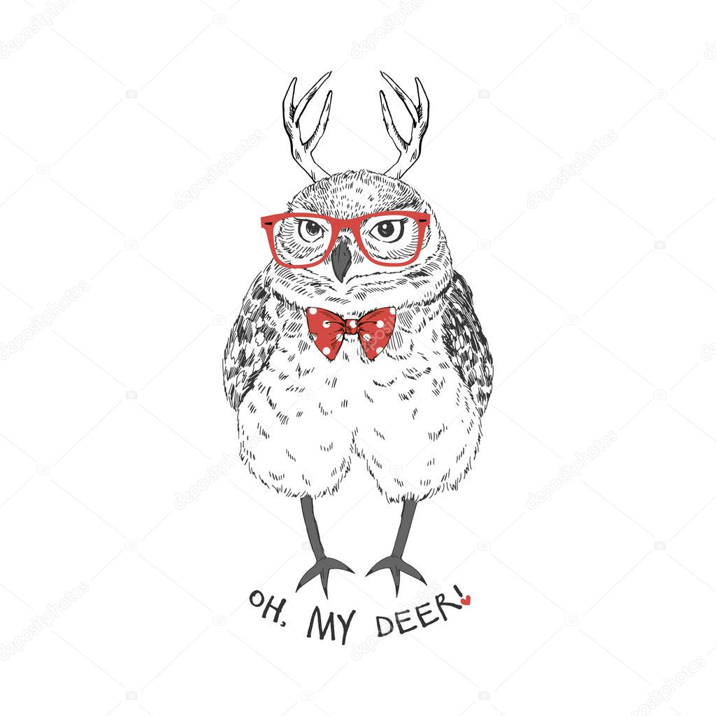 funny owl with deer horns
