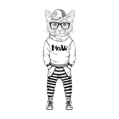 yavru kedi çocuk hipster