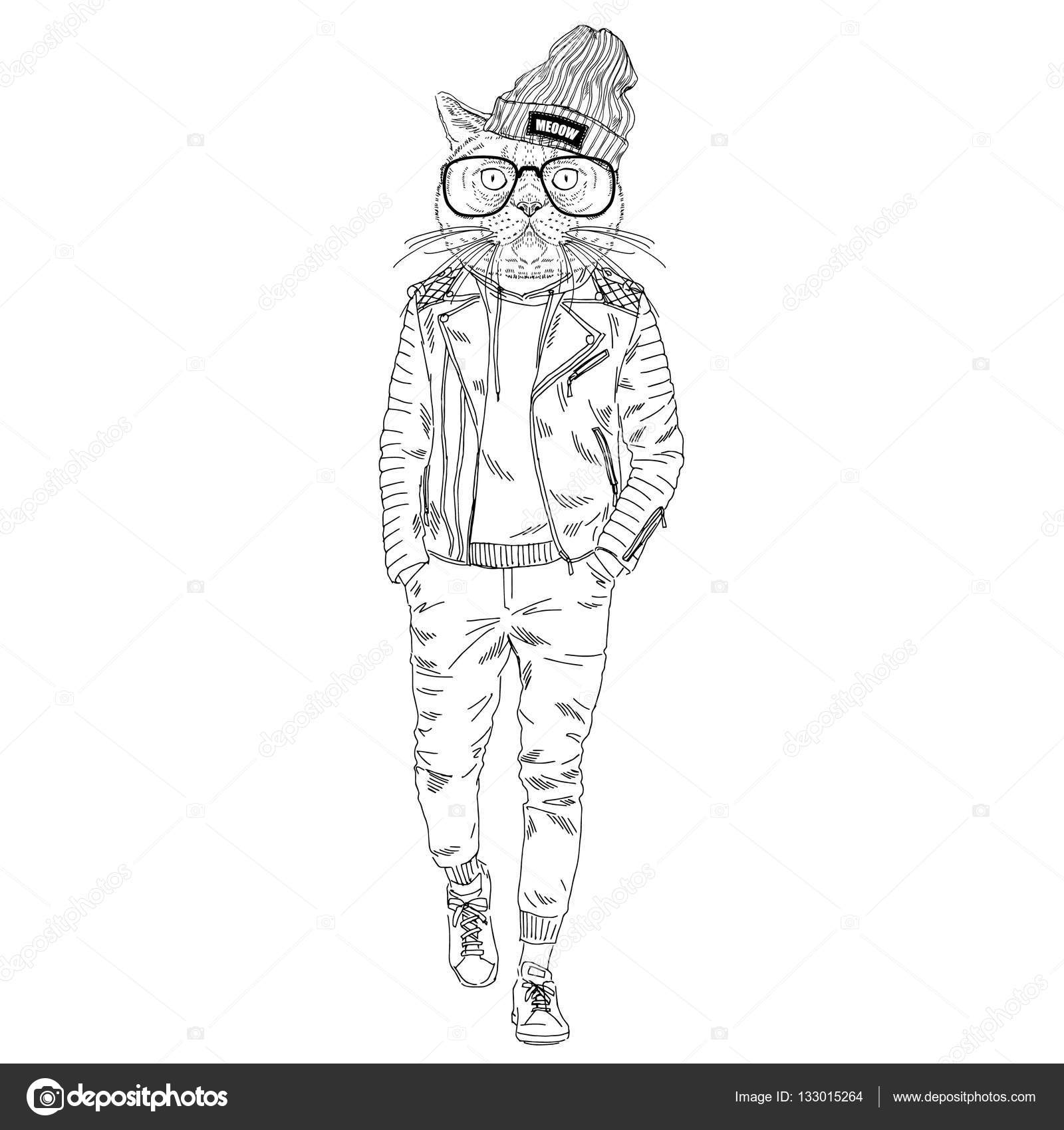 cat wearing leather jacket