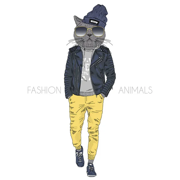 Cat hipster dressed up in leather jacket — Stock Vector