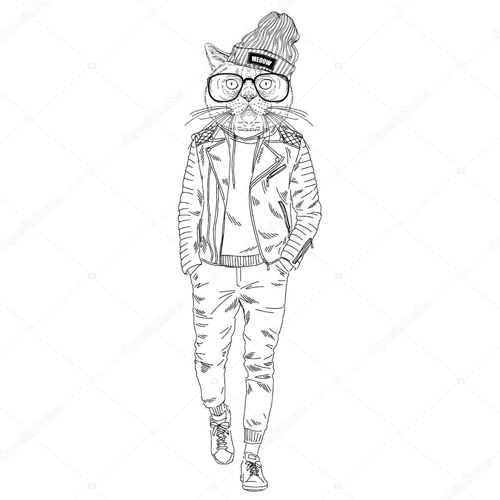 cat hipster dressed up in leather jacket