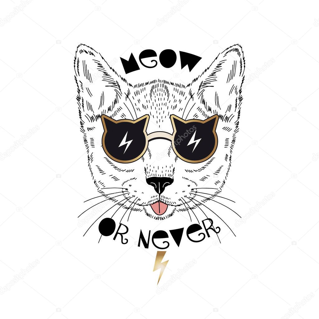 cat in sunglasses with calligraphy