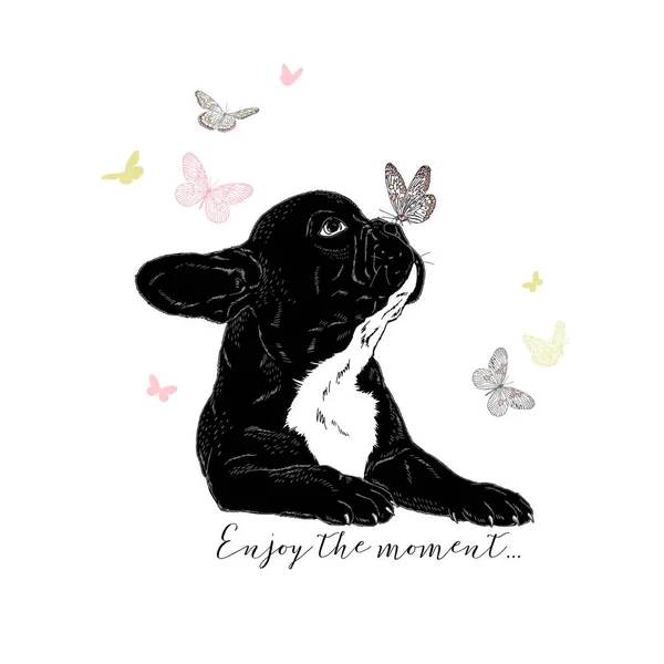 Bouledogue français avec papillons, graphique dessiné à la main — Image vectorielle