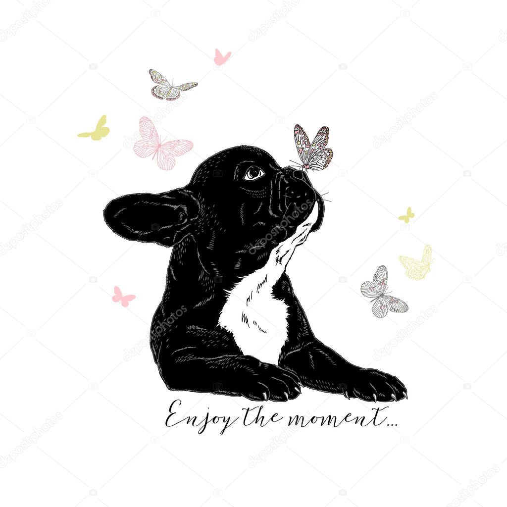 french bulldog with butterflies, hand drawn graphic