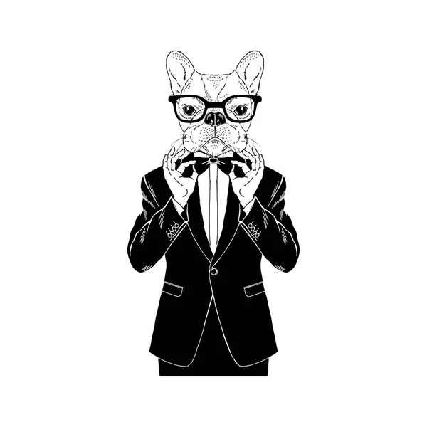 French bulldog dressed up in tuxedo — Stock Vector