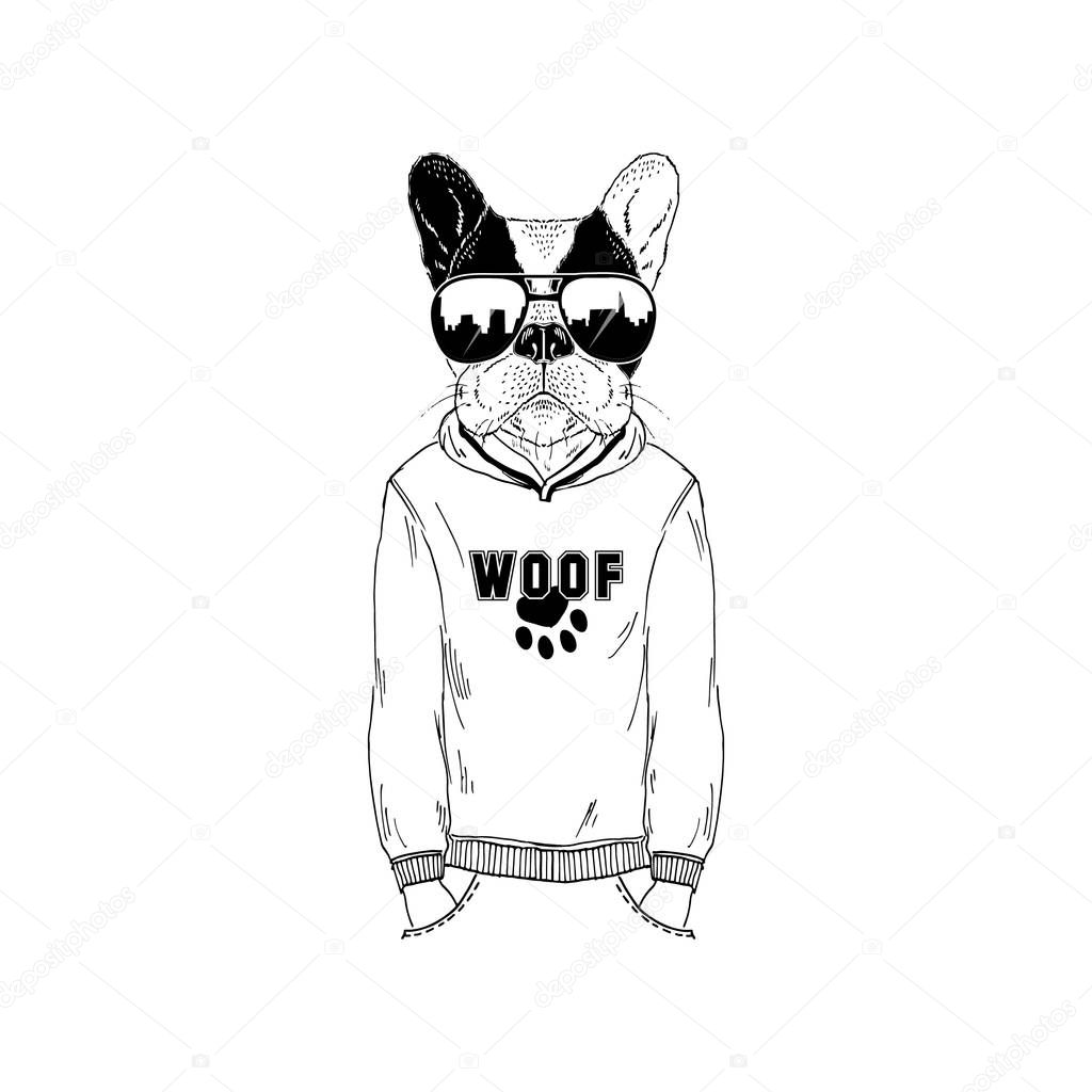 Humanized french bulldog wearing hoodie, furry art illustration, anthros