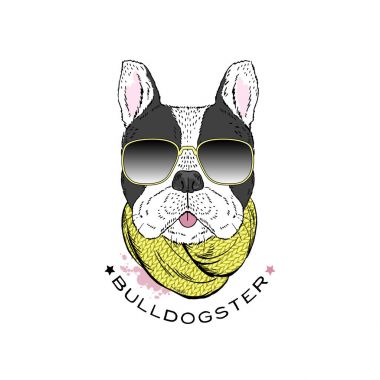 French bulldog in sunglasses and scarf clipart
