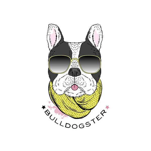 Französische Bulldogge mit Sonnenbrille und Schal — Stockvektor