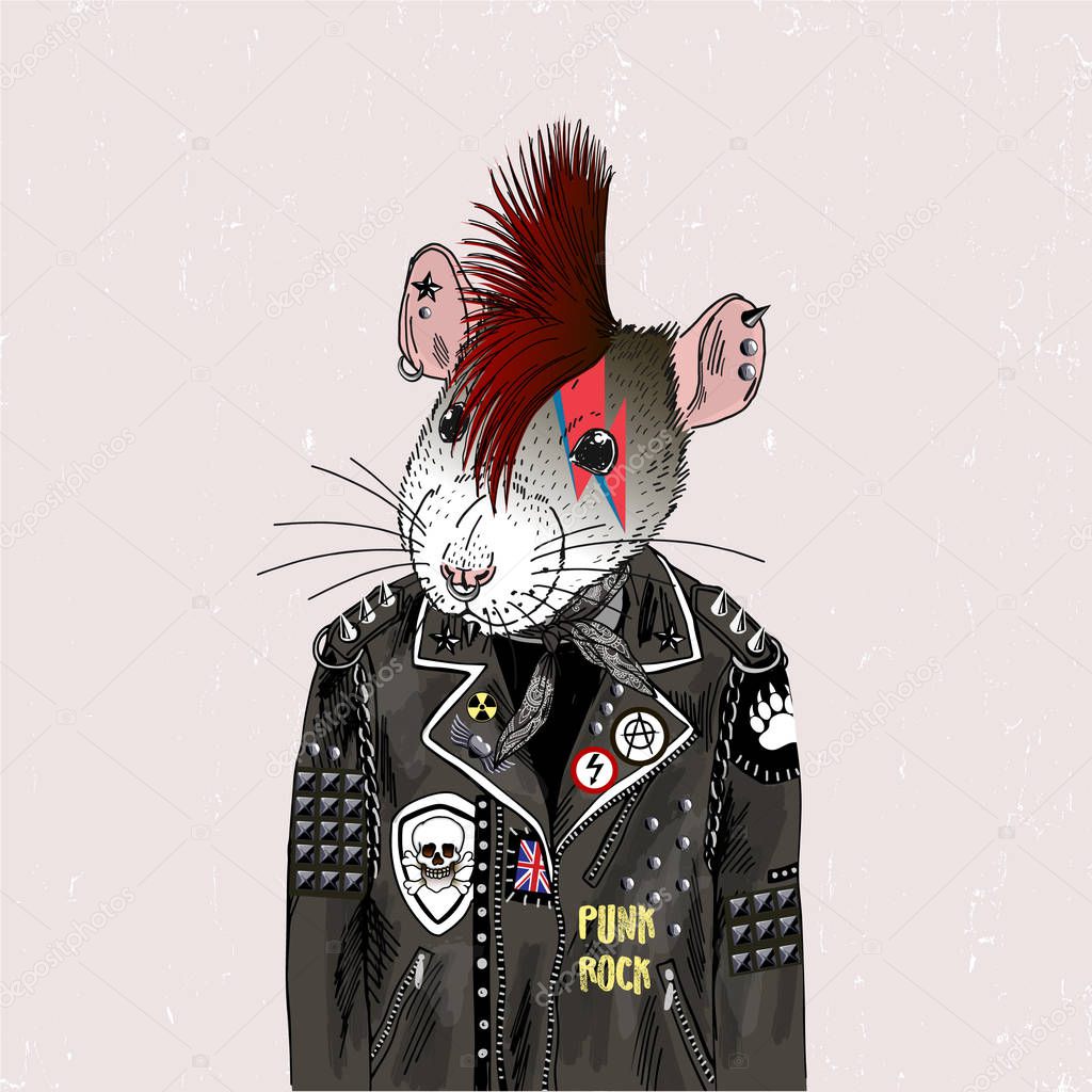 rat dressed like punk
