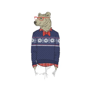 Kış jakarlı süveterin içinde ayı 