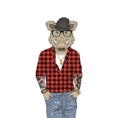 Orman yaban domuzu hipster