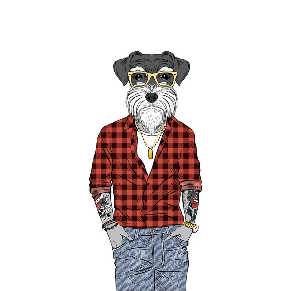 Schnauzer dog hipster — Stock Vector