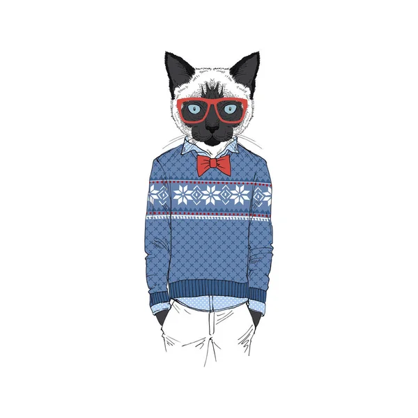 Siam cat  in winter jacquard sweater — Stock Vector