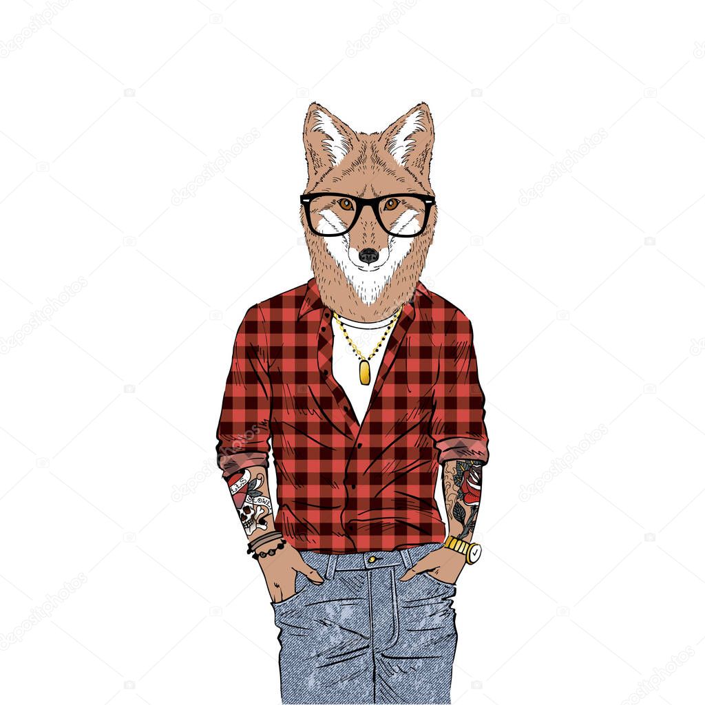 fox hipster, furry art illustration
