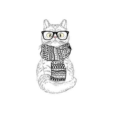 komik kedi eşarp ve gözlük