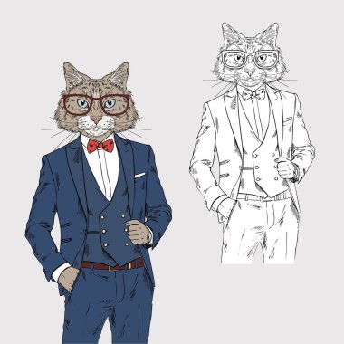kedi adam şık tarzı