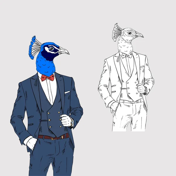 Hombre pavo real en estilo elegante — Vector de stock