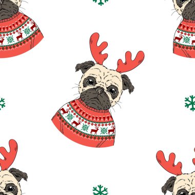 Noel Pug köpek