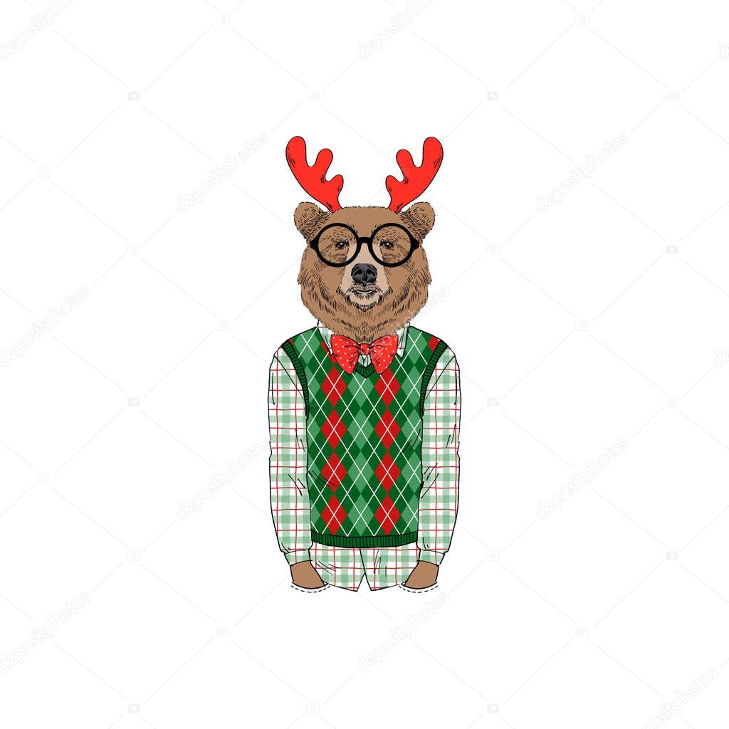 bear wearing Christmass outfits