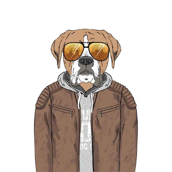 Boxer breed Hipster portrait. — Stock Vector