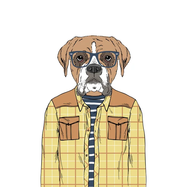 Boxer raça Hipster retrato . —  Vetores de Stock